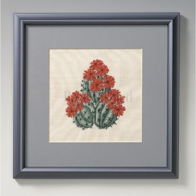 Borduurblad productfoto Borduurpakket Cactus rood