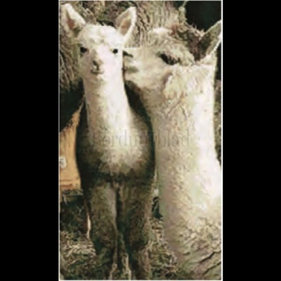 Borduurblad productfoto Artecy Alpacas - patroon