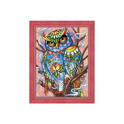 Borduurblad productfoto Diamond painting set Arti Balta - Owl