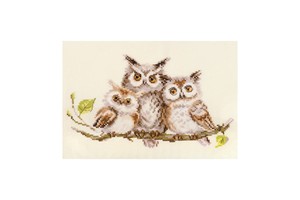 Borduurblad productfoto Borduurpakket Alisa ‘Owls’