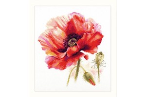 Borduurblad productfoto Borduurpakket Alisa ‘Bright red poppy’