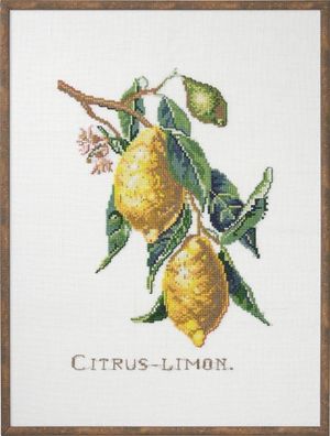 Borduurblad productfoto Borduurpakket Eva Rosenstand ‘Citrus Lemon’