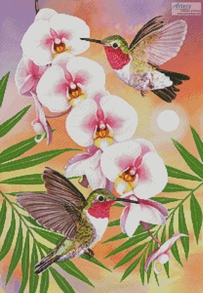 Borduurblad productfoto Patroon Artecy 'Annas Hummingbirds with Phalaenopsis'