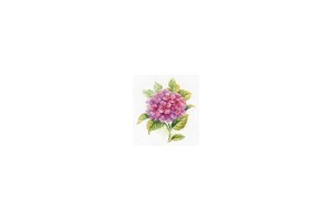 Borduurblad productfoto Borduurpakket Alisa 'Hydrangea'