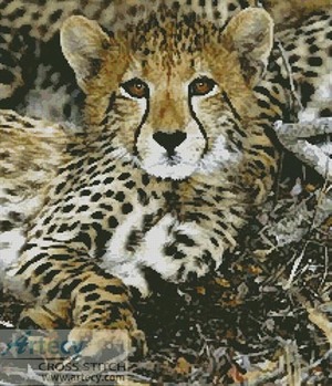 Borduurblad productfoto Patroon Artecy ‘Baby Cheetah’