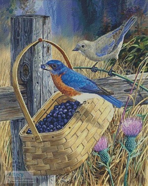 Borduurblad productfoto PATROON ARTECY ‘Blue Bandit’