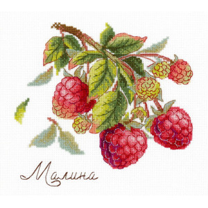 Borduurblad productfoto Borduurpakket MP Studia ‘Gifts of nature- Raspberries’
