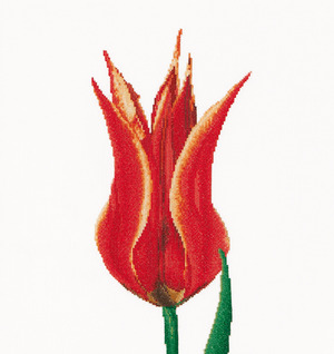 Borduurblad productfoto Patroon Tulp - Thea Gouverneur