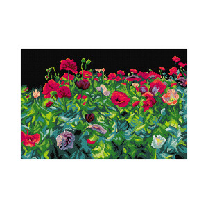 Borduurblad productfoto Voorbedrukt canvas ‘Poppies’