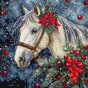 Borduurblad productfoto Borduurpakket Leti Stitch – Winter Horse