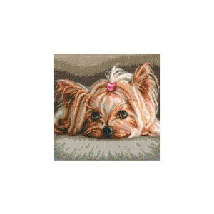 Borduurblad productfoto Borduurpakket RTO – Pet